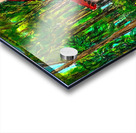 1 SANT 1 Acrylic print