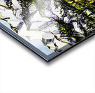 20240108 1629490 3 Acrylic print