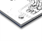 PSX 20240722 190518 Acrylic print