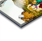 20240101 033347 Acrylic print