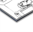 PSX 20240722 191400 Acrylic print