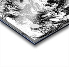 20231224 083627 3 Acrylic print