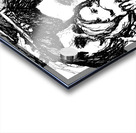 20240107 0337590 3 Acrylic print