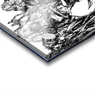 20240113 2257510 7 Acrylic print