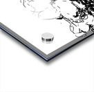 PSX 20240722 180548 Acrylic print