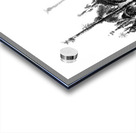 20240211 025423 3   Copy Acrylic print