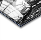 20240211 010009 2   Copy Acrylic print