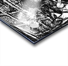 20240214 231155 7   Copy Acrylic print