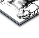 20240121 004119 2   Copy Acrylic print