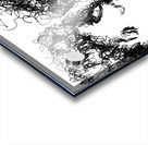 20240215 001917 2   Copy Acrylic print