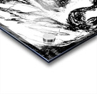 20240307 142258 3 Acrylic print