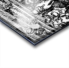 20240216 001116 Acrylic print