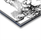 20240314 202814 2 Acrylic print