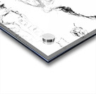 20240307 141924 4 Acrylic print