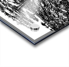 20240328 004220 2 Acrylic print