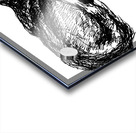 20240520 0157390 2 Acrylic print