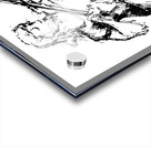 20240601 2057160 4 Acrylic print