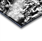 20240328 001341 2 Acrylic print