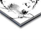 20240601 211010 2 Acrylic print