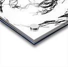 20240602 153257 3 Acrylic print