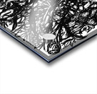 20240331 004818 4 Acrylic print