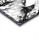 20240610 162851 3   Copy Acrylic print