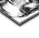 20240702 003107 9 Acrylic print