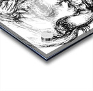 PSX 20240706 214134 Acrylic print