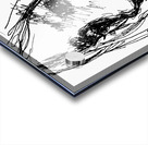 20240621 104710 3 Acrylic print