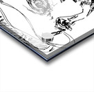 20240616 173656 2   Copy Acrylic print