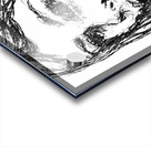 20240616 194727 2   Copy Acrylic print