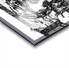 PSX 20240725 181739 Acrylic print