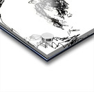 20240621 111927 3 Acrylic print