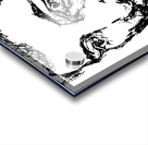 20240616 134552 2   Copy Acrylic print