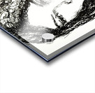 20240608 1709110 3   Copy Acrylic print