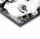 20240627 221613 2 Acrylic print