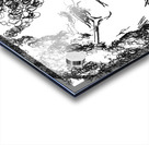 20240616 190347 3   Copy Acrylic print