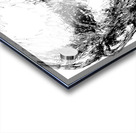 20240620 030459 4   Copy Acrylic print