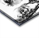 20240629 210429 3 Acrylic print