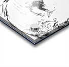 20240616 173626 2   Copy Acrylic print