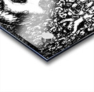 20240625 000538 6 Acrylic print