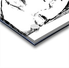 20240608 150301 2   Copy Acrylic print