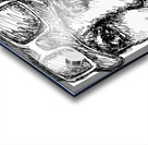 20240630 003232 3 Acrylic print