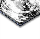 20240630 015635 5 Acrylic print