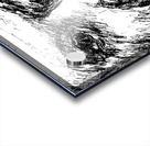 20240701 001633 6 Acrylic print