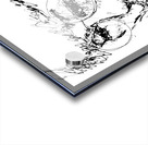 20240621 164105 3 Acrylic print