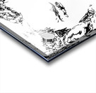 20240603 123243 3   Copy Acrylic print