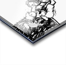 20240626 145631 4 Acrylic print