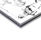 20240621 154350 2 Acrylic print