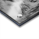 Sketch Portrait | Marc Melis Acrylic print